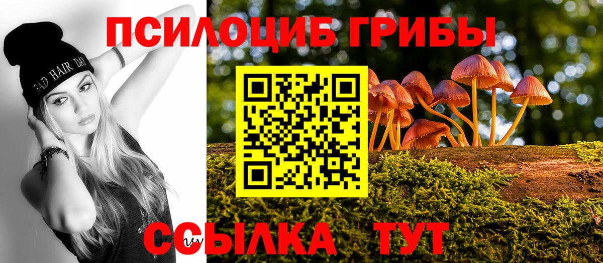 Рыбинск  Галлюциногенные грибы мухоморы  Псилоцибиновые грибы Cubensis  Вход с VPN 