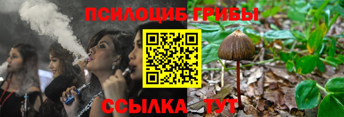 Псилоцибиновые грибы ЛСД Рыбинск